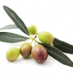 Olive oil - Mt Zero frantoio