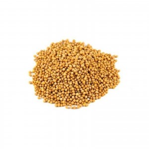 Mustard seeds - yellow