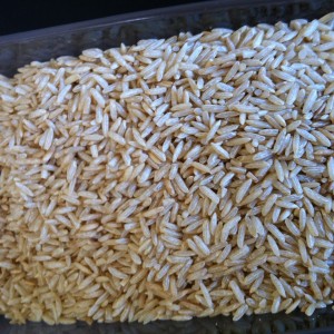 Rice - short grain brown