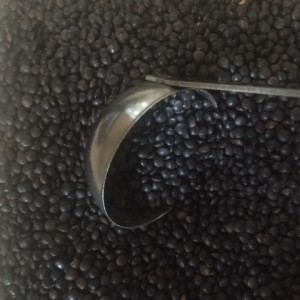 Baluga black lentils