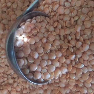 Red split lentils